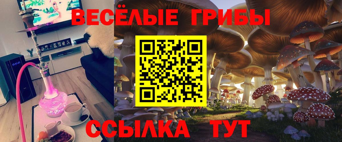 Галлюциногенные грибы ЛСД  как найти   Нефтеюганск  Вход с VPN 