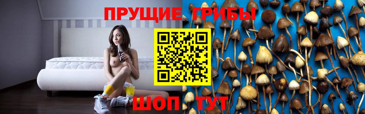 Псилоцибиновые грибы GOLDEN TEACHER Нефтеюганск